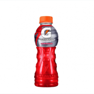 Gatorade Fruit Punch 350ml